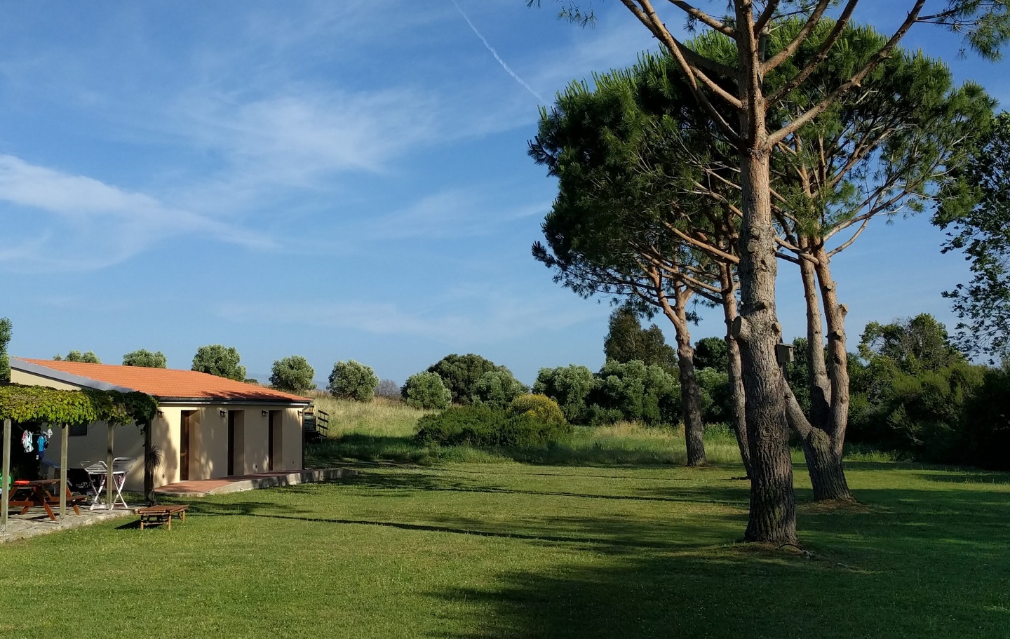 LS_Origlio_Rosmarino_Garten.jpg